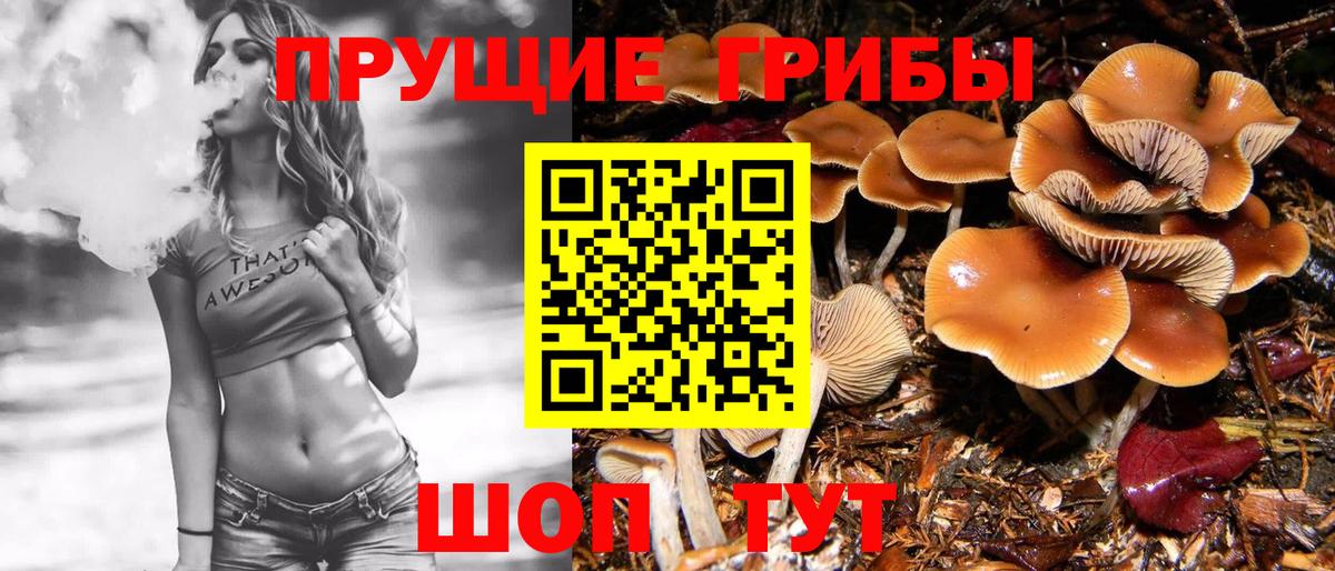 Галлюциногенные грибы Cubensis Отрадное