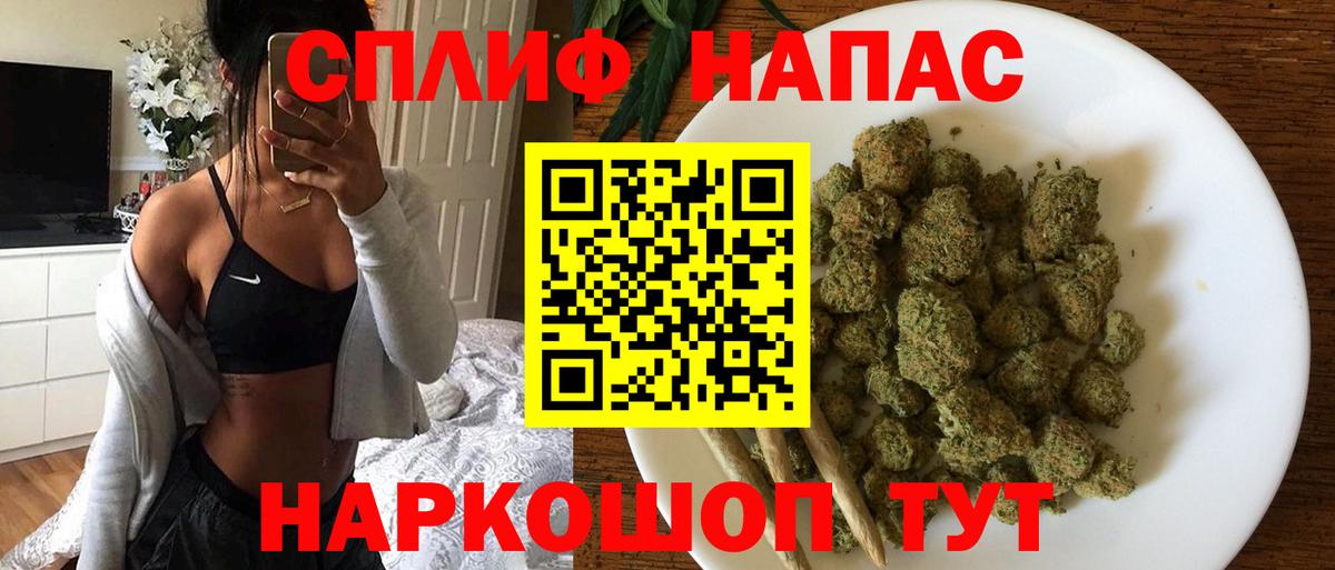Отрадное  Канабис сатива  Канабис планчик  Вход с VPN  Марихуана Amnesia  Шишки марихуана конопля 